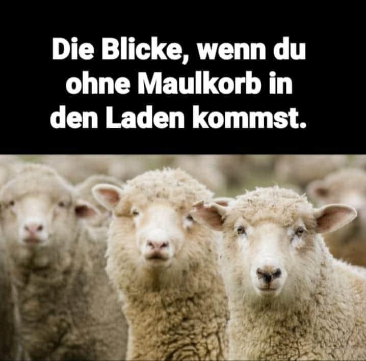 Blicke_wenn_du_ohne_maulkorb_daherkommst20200722